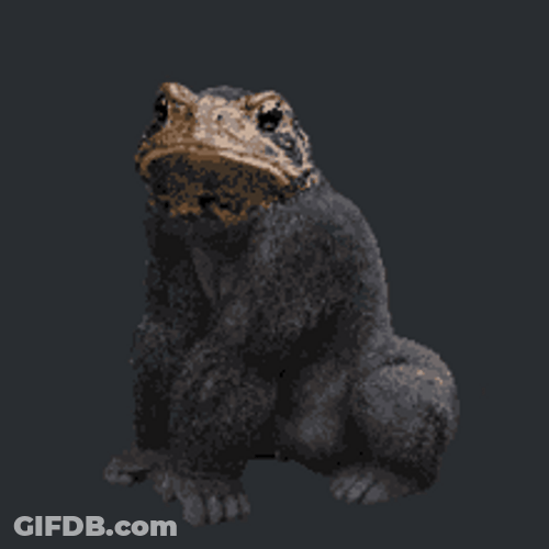 King Kong Frog GIF