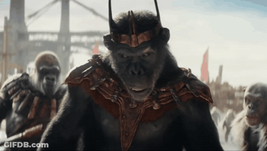 King Of Apes Attacks Caesar GIF