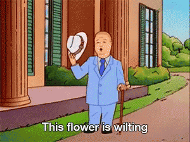 King Of The Hill Bobby Formal Attire GIF