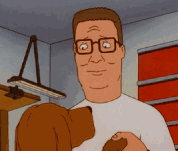 King Of The Hill Lady Bird GIF