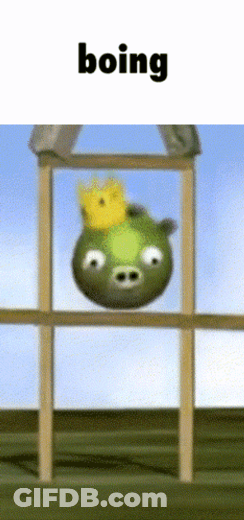 King Pig Drops And Bounce Boing GIF