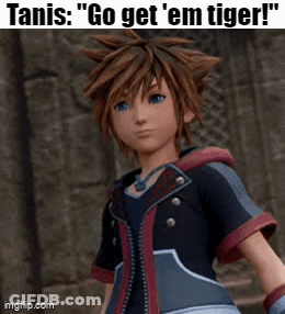 Kingdom Hearts Character Standing GIF