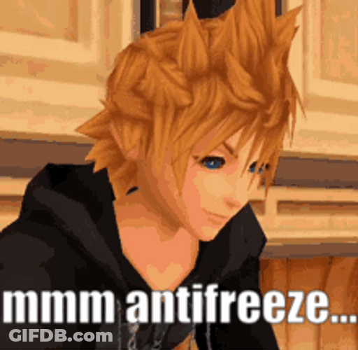 Kingdom Hearts Sora Antifreeze GIF