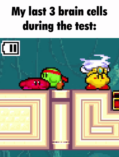 Kirby Last Three Brain Cells During Test Meme GIF