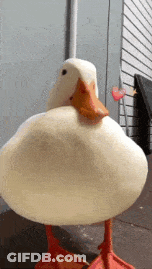 Kiss Cute GIF