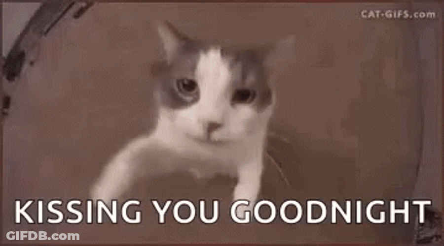 Kiss Goodnight Cute Cat GIF