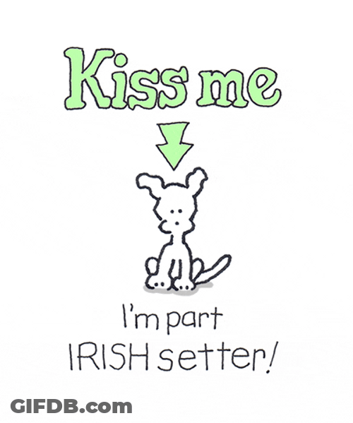 Kiss Me I'm Part Irish Setter Chippy Dog GIF