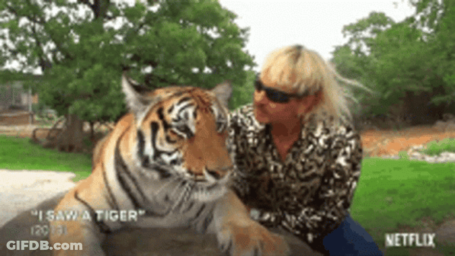 Kiss With Tiger GIF