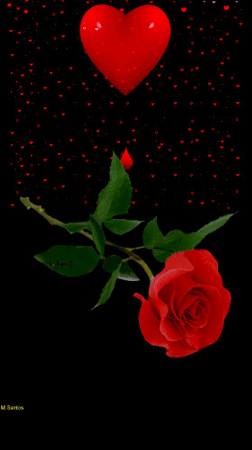 Kiss You Rose Dripping GIF