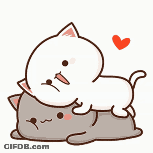 Kit Kitty GIF