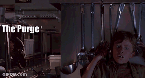 Kitchen And Boy Saying The Purge GIF