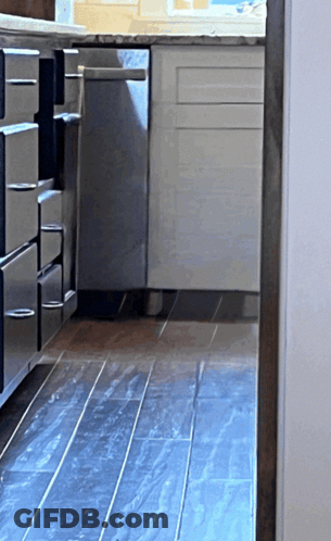 Kitchen With Stainless Steel Cabinets And Black Tiled Floor GIF