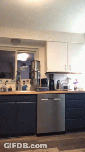 Kitchen With Stainless Steel Dishwasher And Blue Cabinets GIF