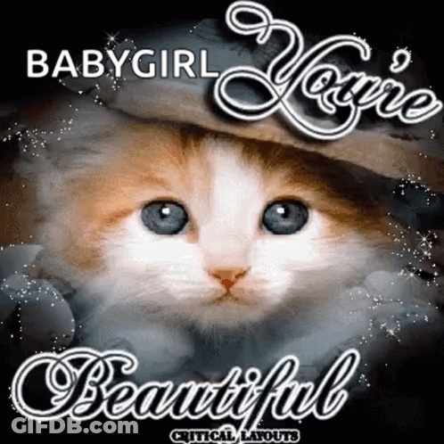 Kitten Babygirl You're Beautiful GIF