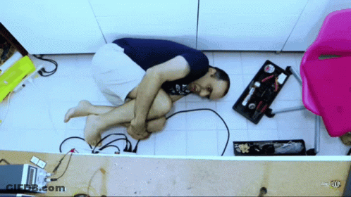 Kitten Begging On Hind Legs Crossed Paws GIF