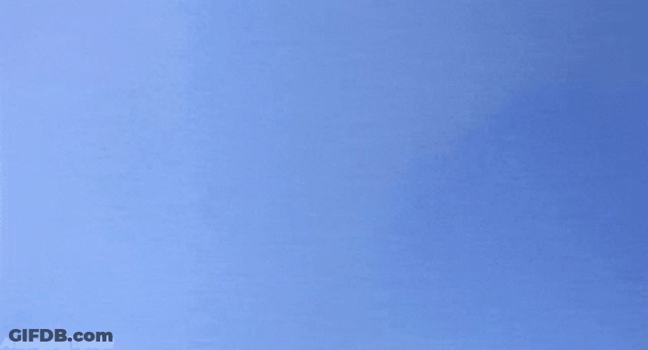 Kitten Cat Jumping On Sky GIF