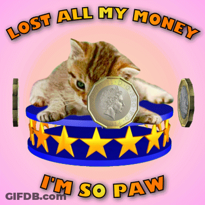 Kitten Coin Lost All Money I'm So Paw GIF