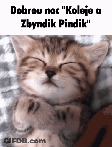 Kitten Dobrou Noc Koleje A Zbyndik Pindlik GIF