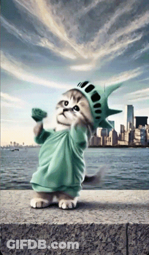 Kitten Dressed As Statue Of Liberty Holding Flower GIF