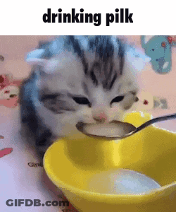 Kitten Drinking Milk From Spoon In Yellow Bowl GIF