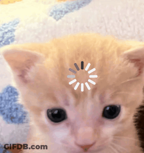 Kitten Face With Loading Wheel GIF
