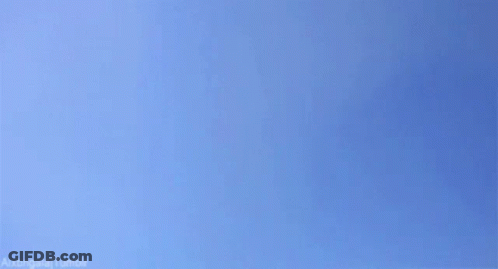 Kitten Flying On Blue Background GIF