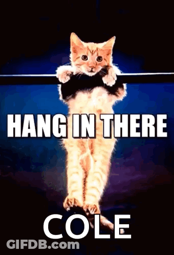 Kitten Hanging On Bar Hang In There Cole GIF