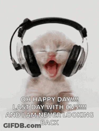 Kitten Headphones Oh Happy Day Last Day CVS GIF