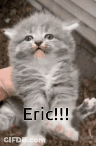 Kitten Held In Hand Saying Eric GIF