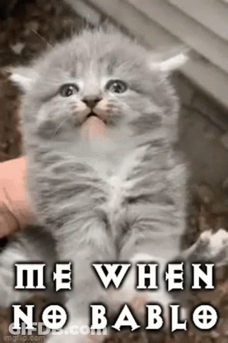Kitten Held Me When No Bablo GIF