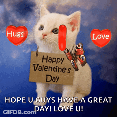 Kitten Holding Happy Valentines Day Sign GIF