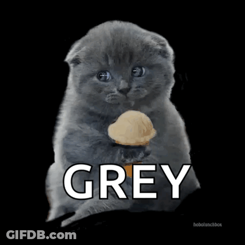 Kitten Holding Ice Cream Cone Grey GIF