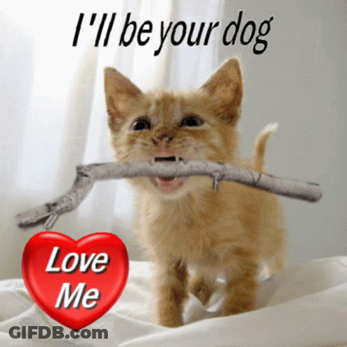 Kitten Holding Stick With Heart Saying Love Me GIF