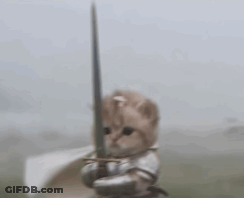 Kitten Holding Sword Wearing Armor GIF