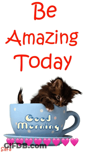 Kitten In A Cup Be Amazing Today GIF