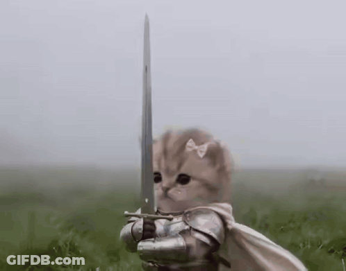 Kitten In Armor Holding Sword GIF