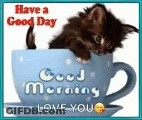 Kitten In Blue Cup With Have A Good Day Good Morning Love You GIF