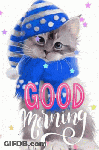 Kitten In Blue Hat And Scarf Saying Good Morning GIF