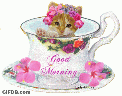 Kitten In Cup Saying Good Morning GIF