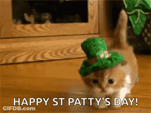 Kitten In Green Hat Happy St Patty's Day GIF