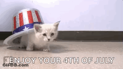 Kitten In Patriotic Hat Walking GIF