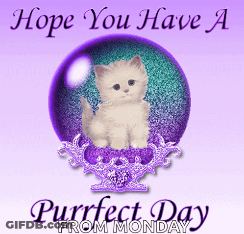 Kitten In Purple And Green Ball Hope You Have A Purrfect Day GIF