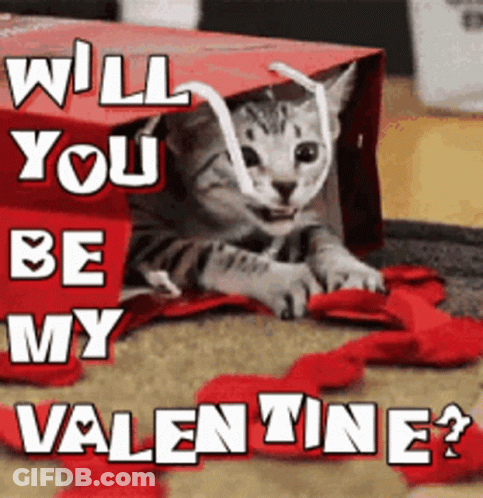 Kitten In Red Bag Will You Be My Valentine GIF