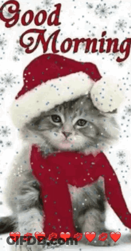 Kitten In Santa Hat And Scarf Sitting On Snowy Surface GIF