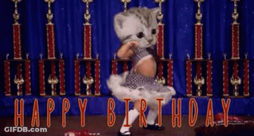 Kitten In Tutu Dancing Happy Birthday On Stage GIF