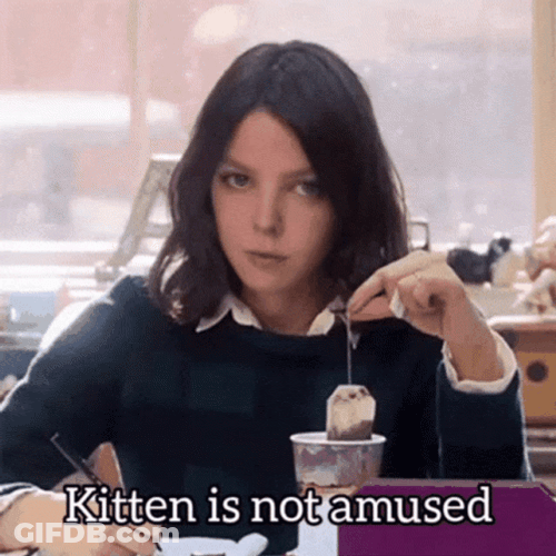 Kitten Is Not Amused GIF