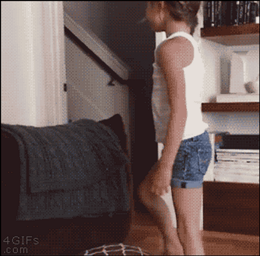 Kitten Jumping On A Kid GIF