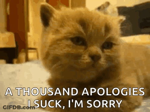 Kitten Laying On Bed Says A Thousand Apologies I Suck I'm Sorry GIF