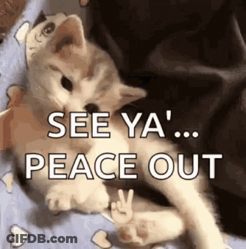 Kitten Laying On Bed See Ya Peace Out GIF