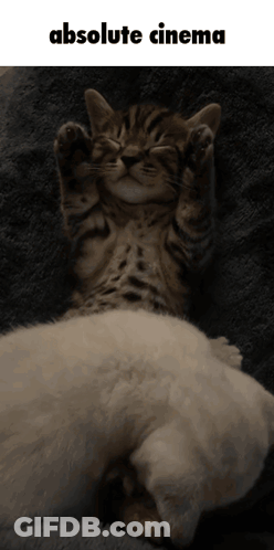 Kitten Laying On Kitten Absolute Cinema GIF